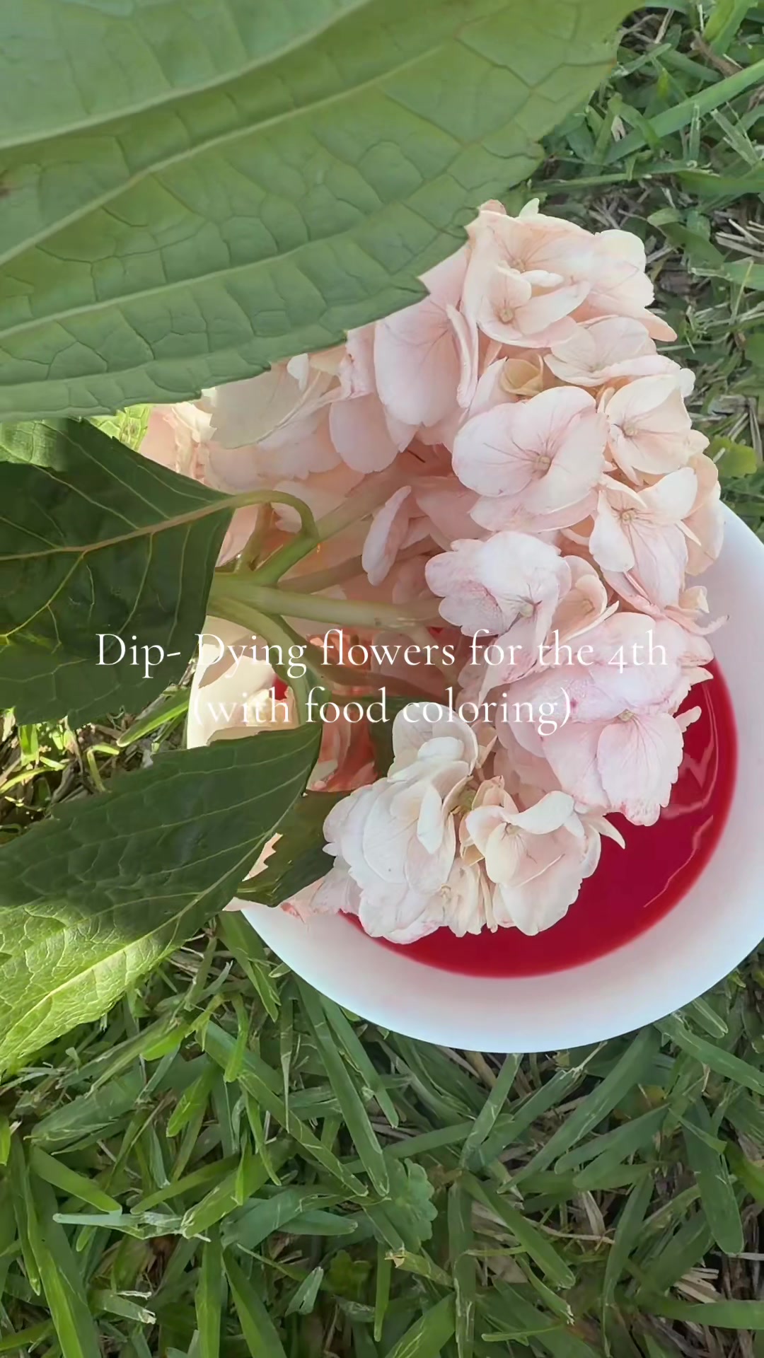 @Tay✨🧚🏻♀️