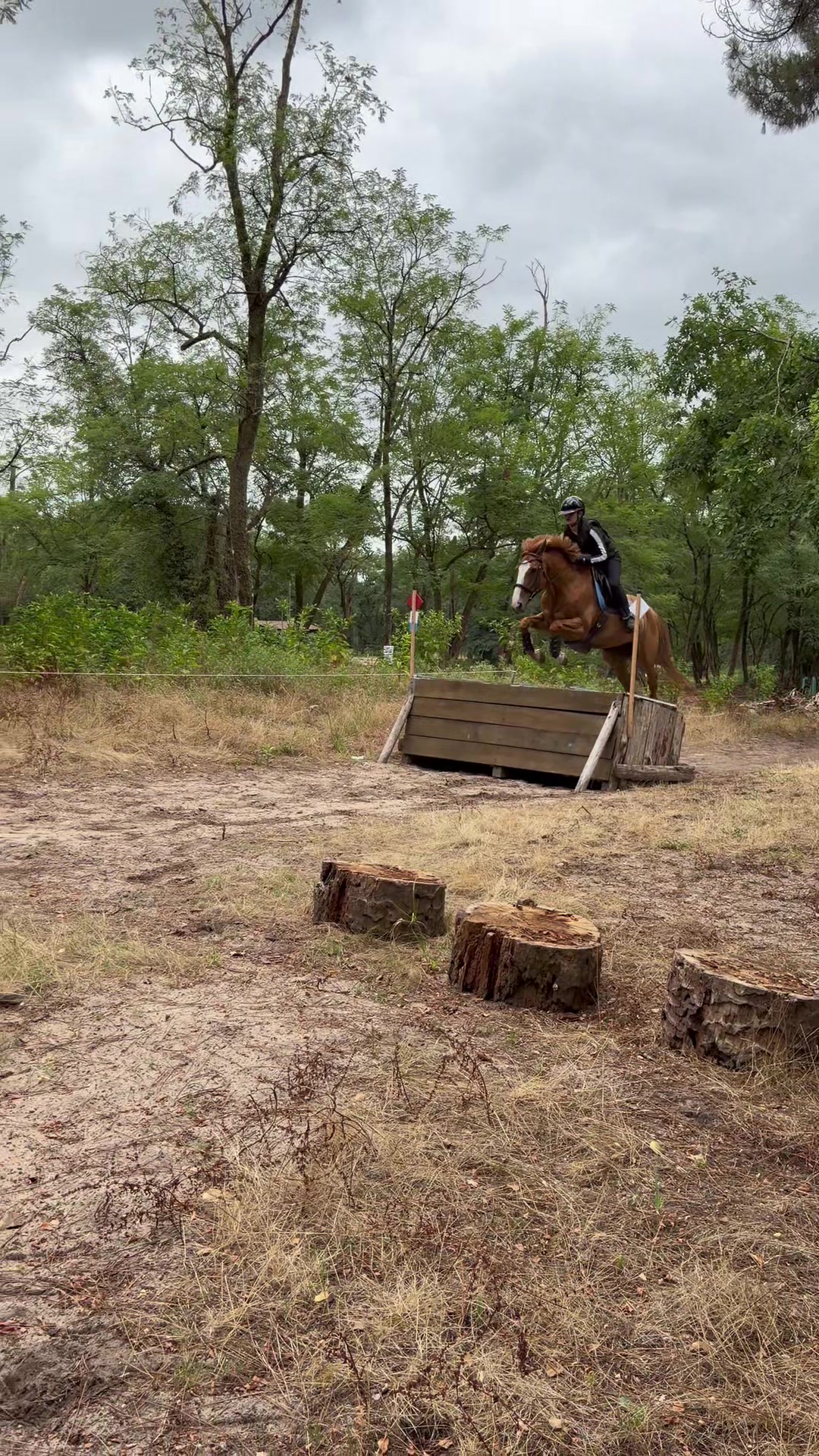 @emma.clv_eventing