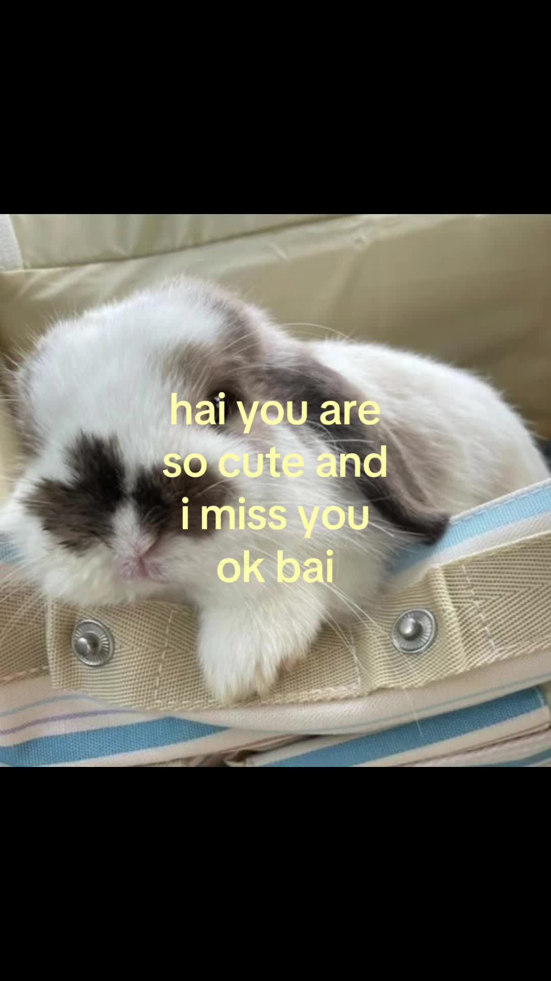 @rwnd