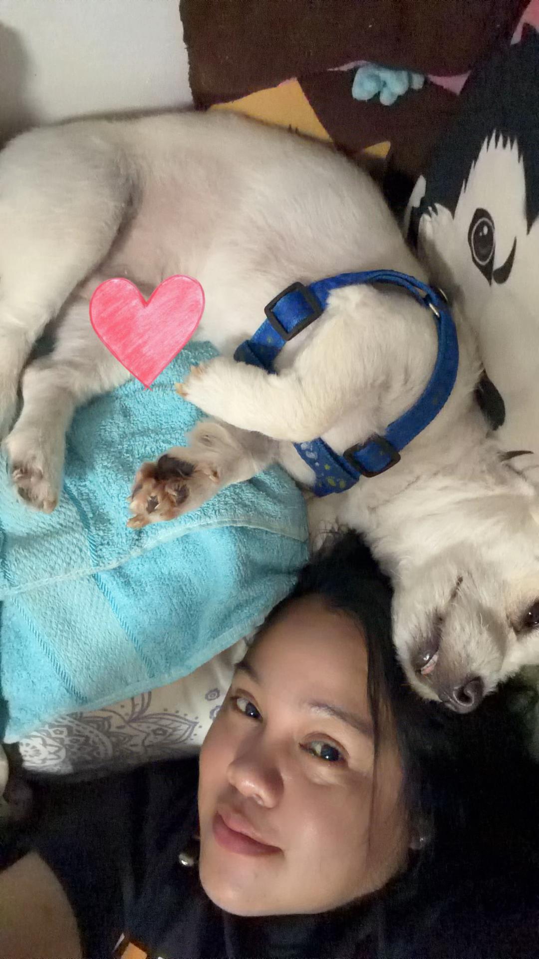 @autum🐕