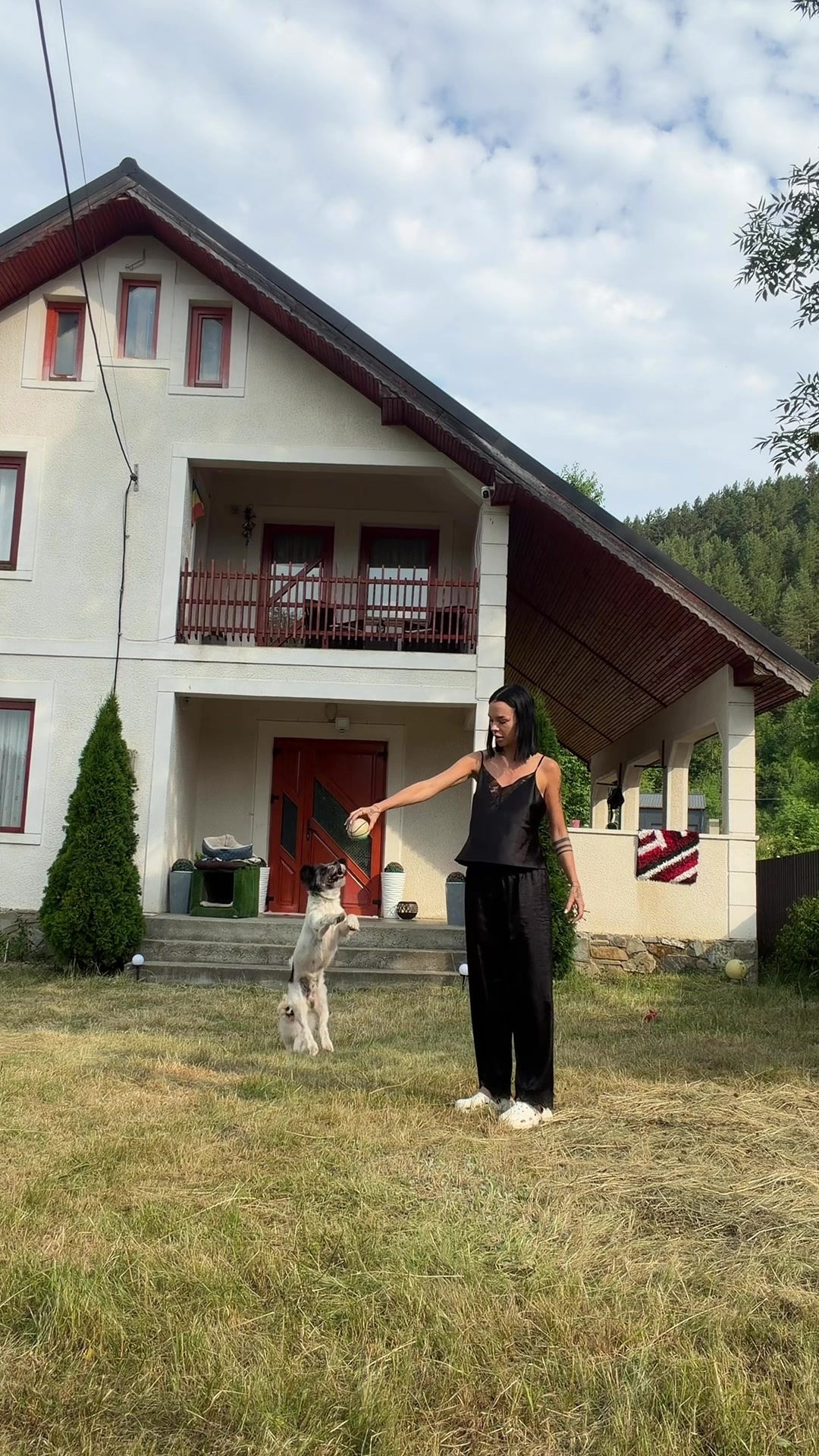 @Beatrice Ungureanu