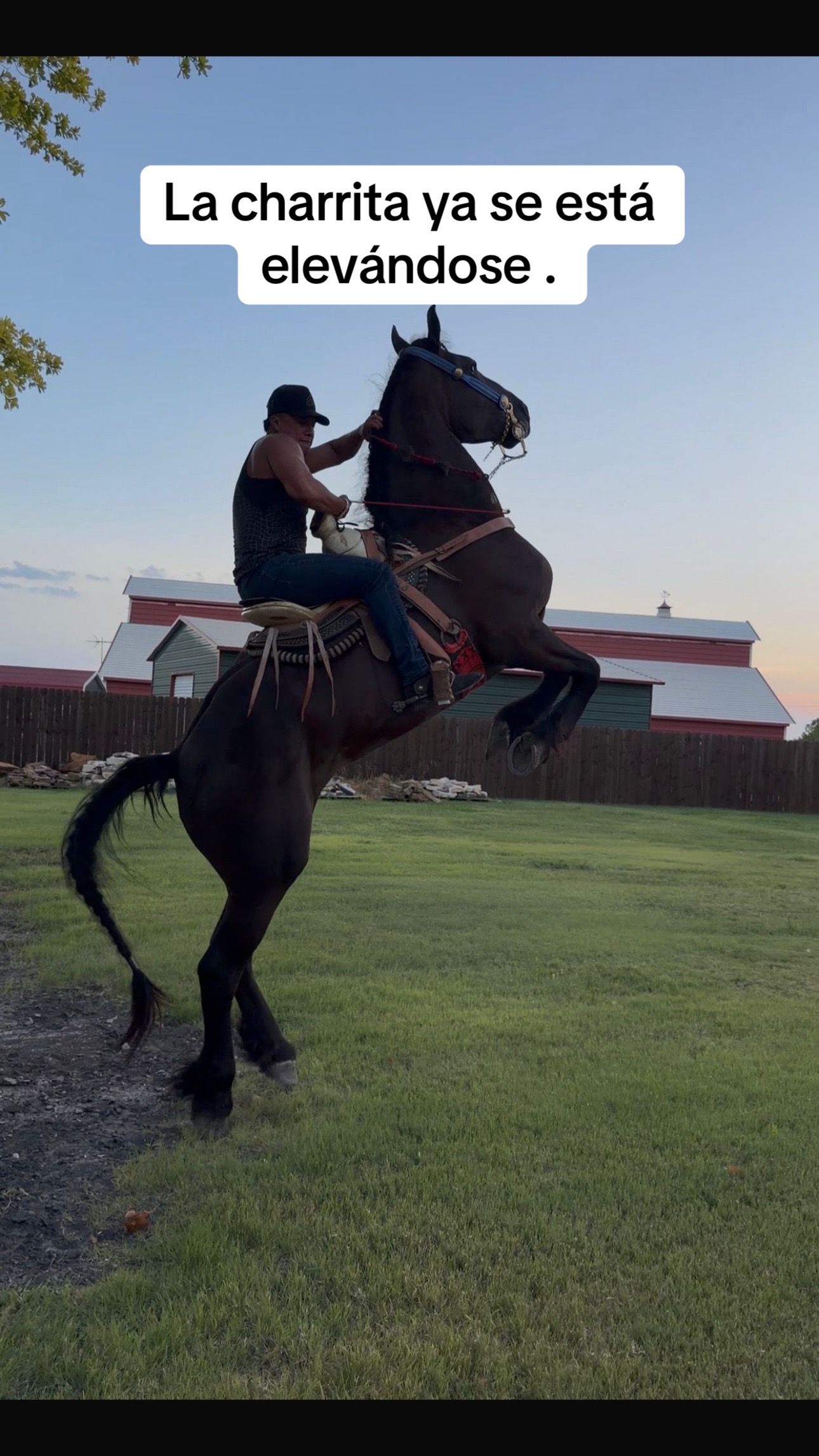 @Ranchoelnaturalito