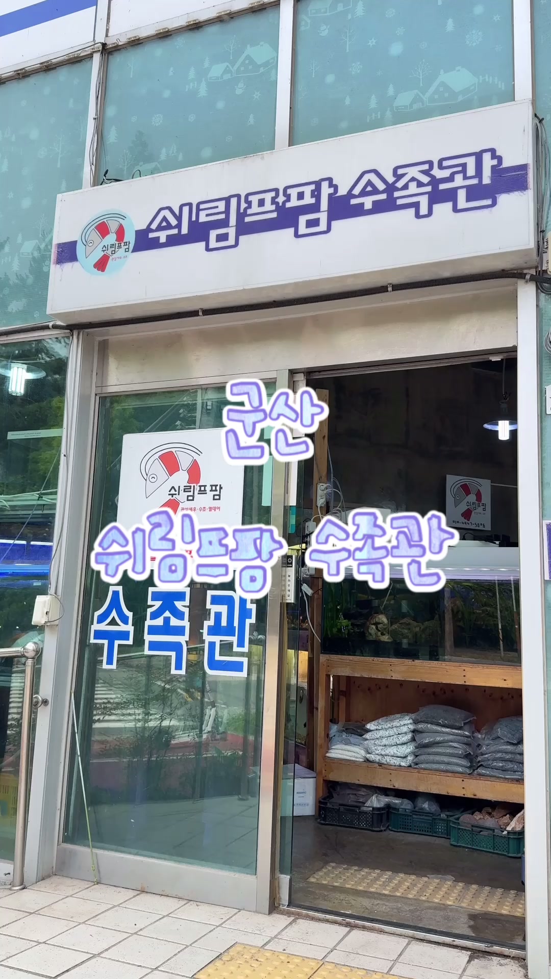 @키즈모델 조하율(조하남매)