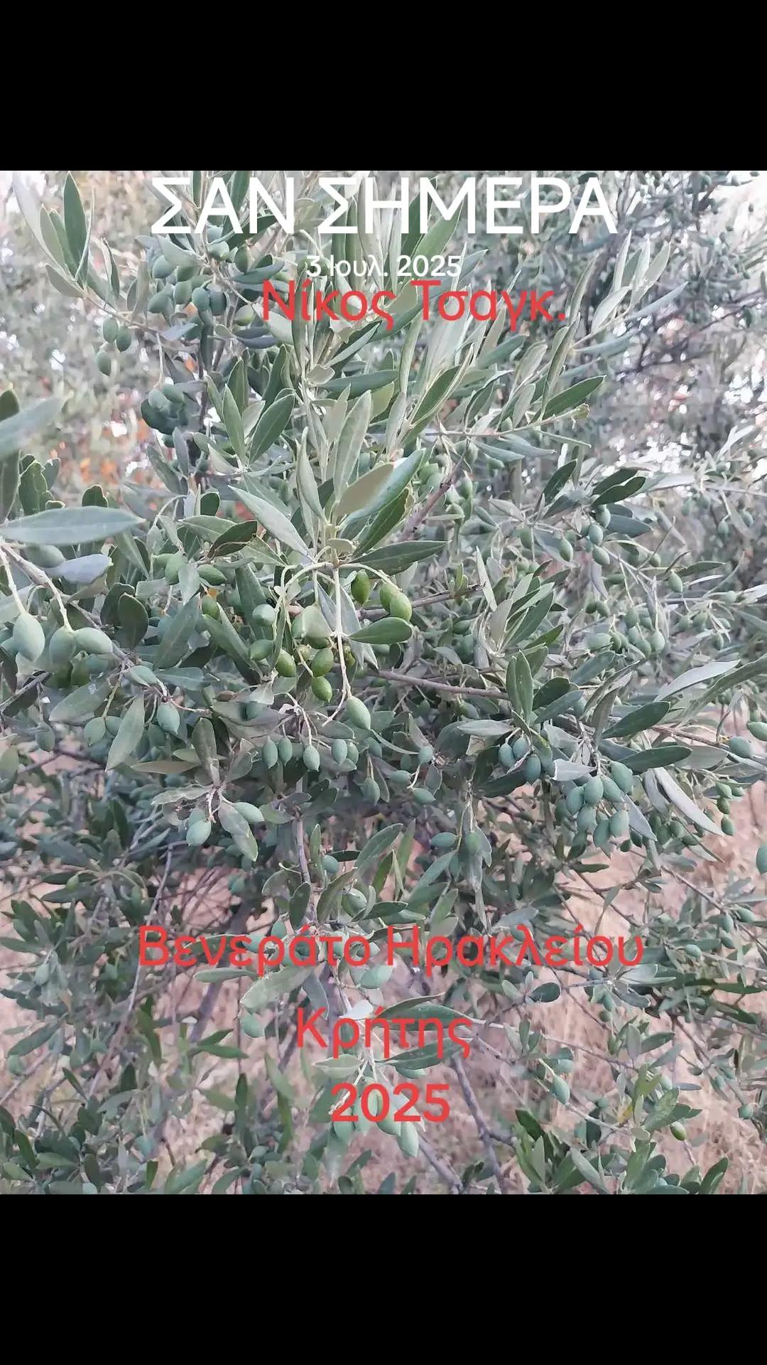 @&Alpha;&gamma;&alpha;&lambda;&iota;&alpha;&nu;ό&sigmaf; &Iota;&omega;ά&nu;&nu;&eta;&sigmaf; &Gamma;&epsilon;&omega;&pi;ό&nu;&omicron;&sigmaf;