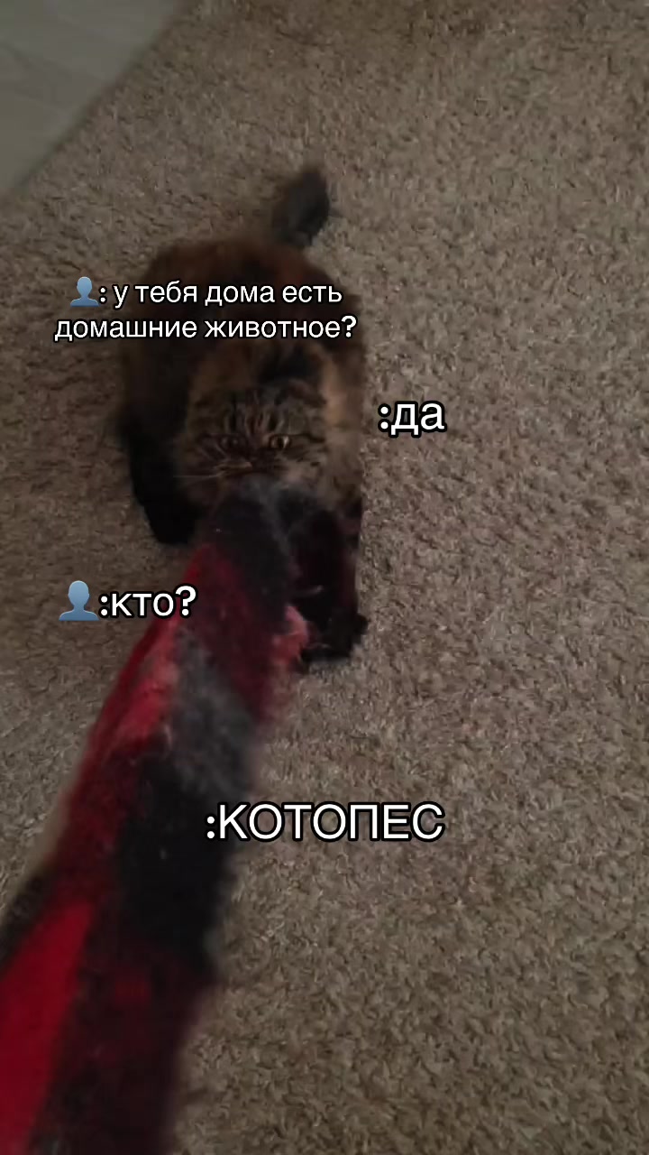 @zarina_smirnova