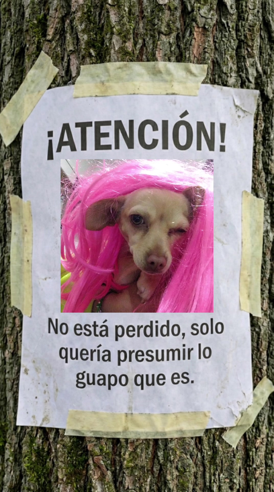 @Miguel Loza641