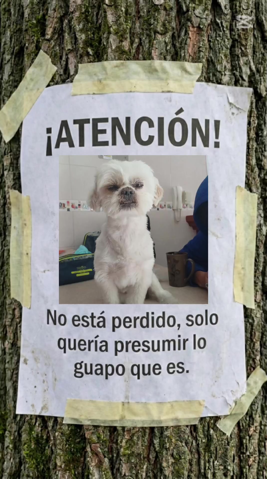 @Nacho y Manush