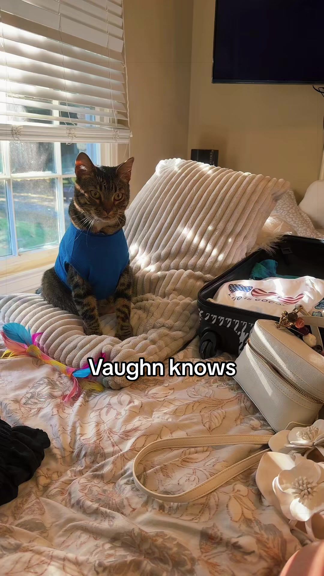 @KittKat❌🐾