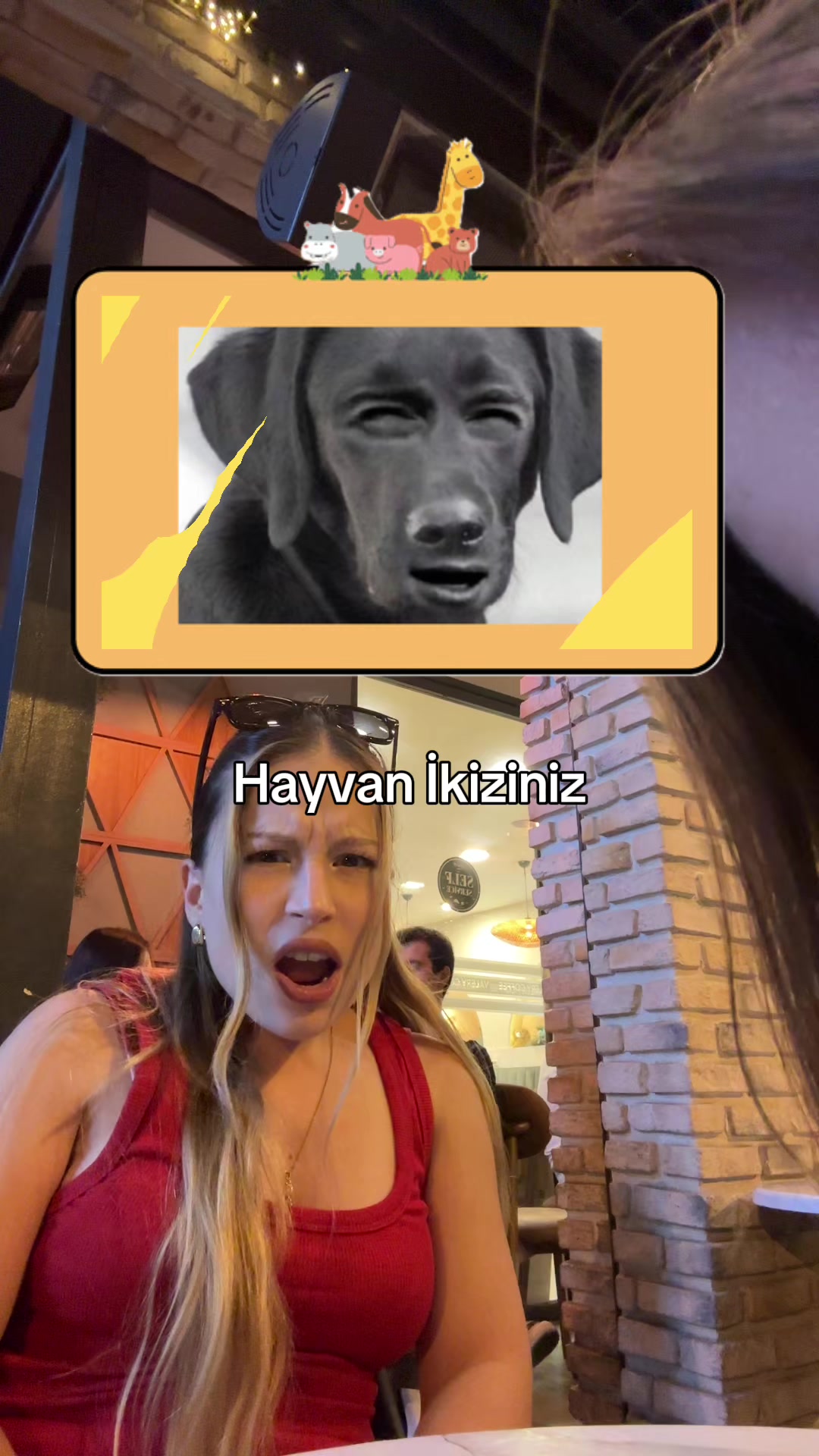 @sheyda