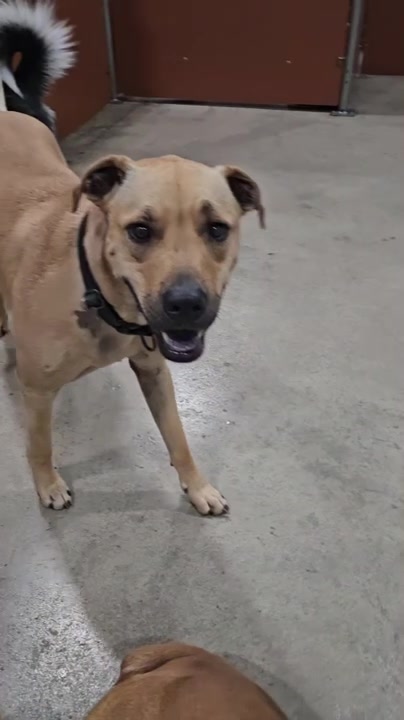 @CampBowWow Eatontown