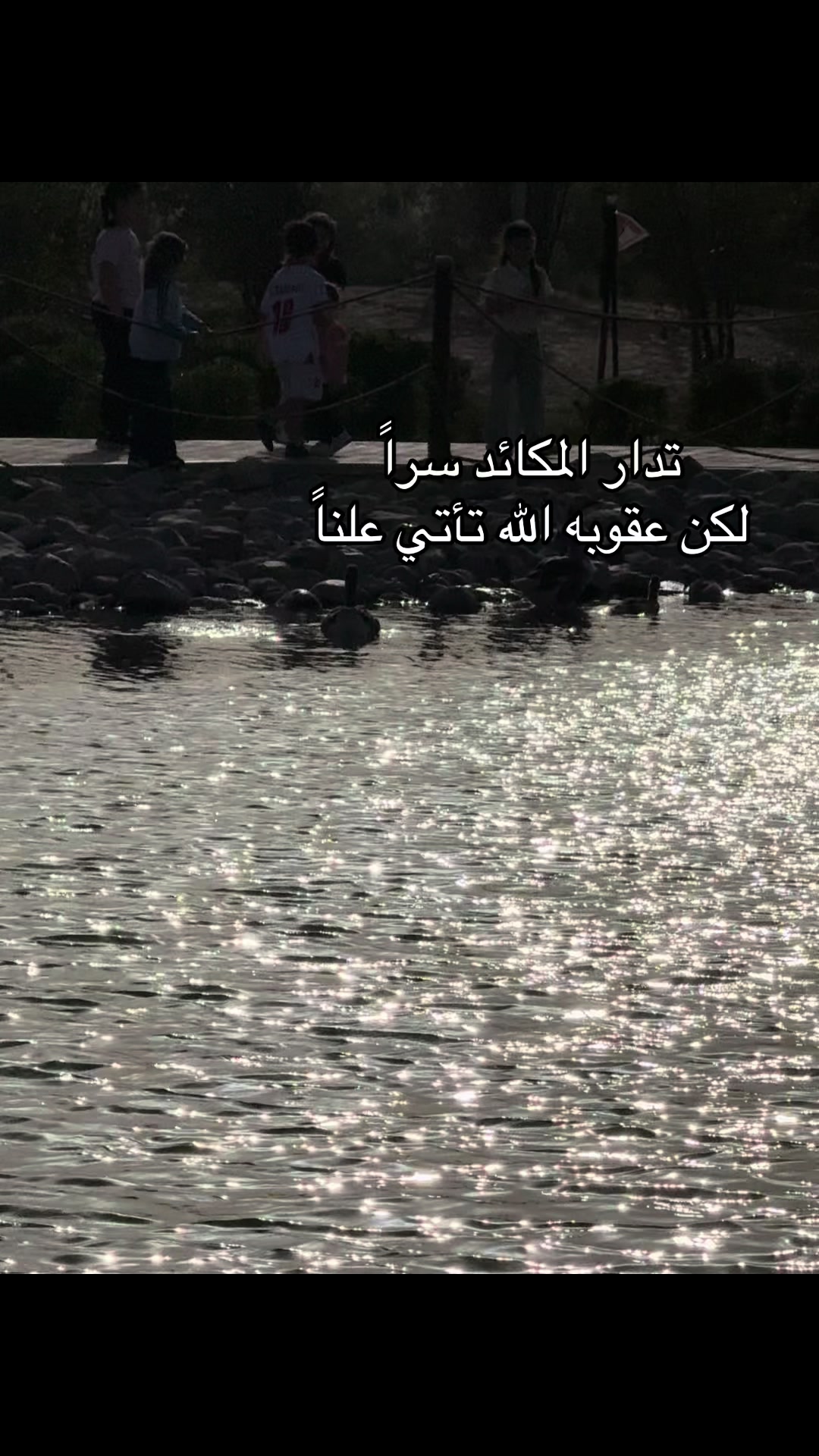 @الوتين 🕊