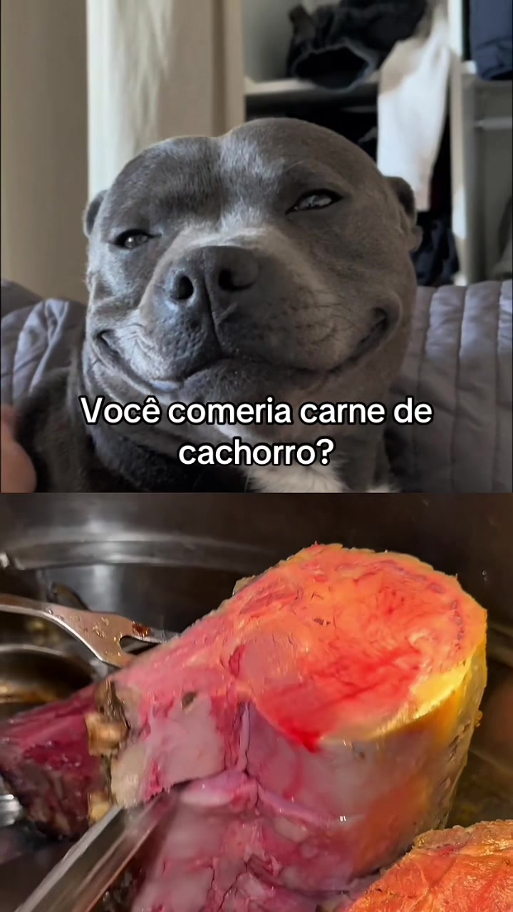 @Carne é cruel