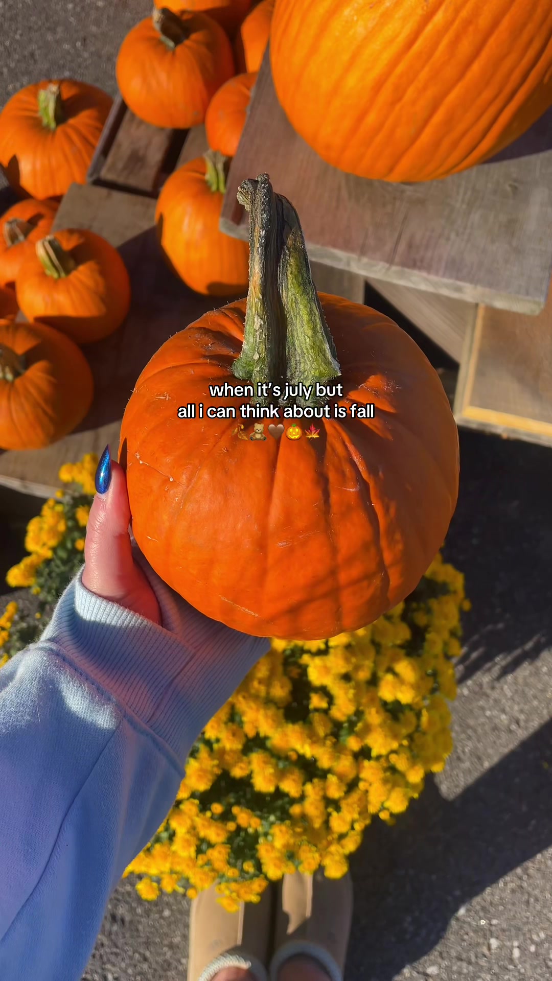 @dreamgirl 🎀