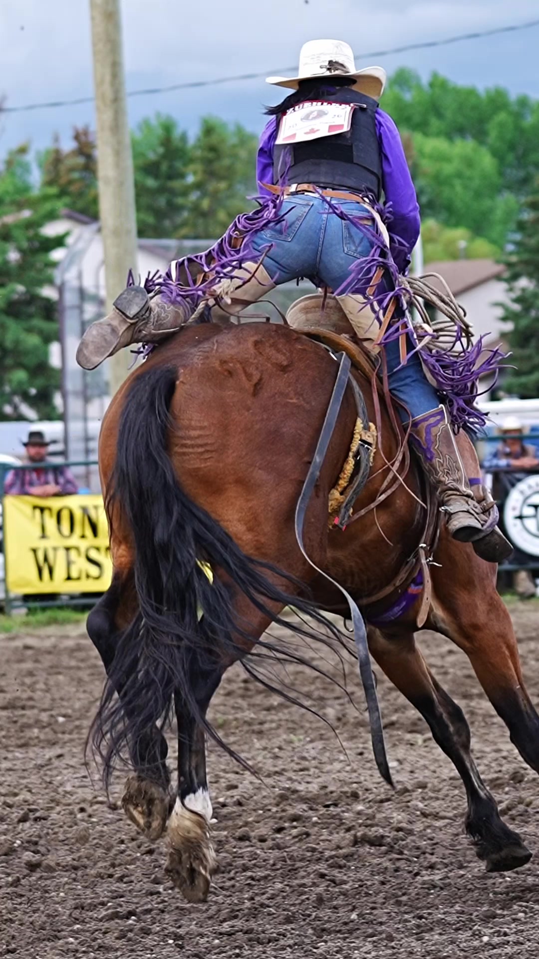 @Hanginghorses