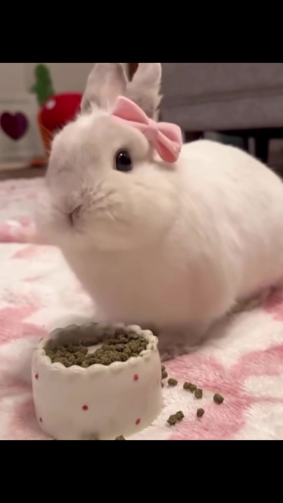 @Bunny girl uwu