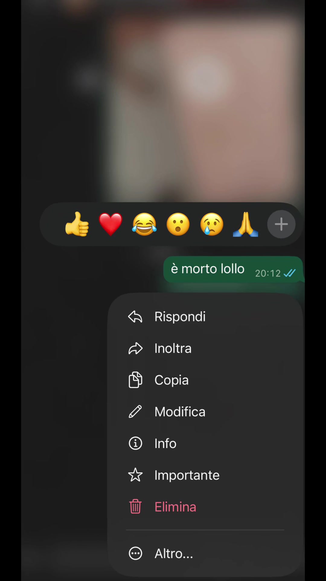 @🦇