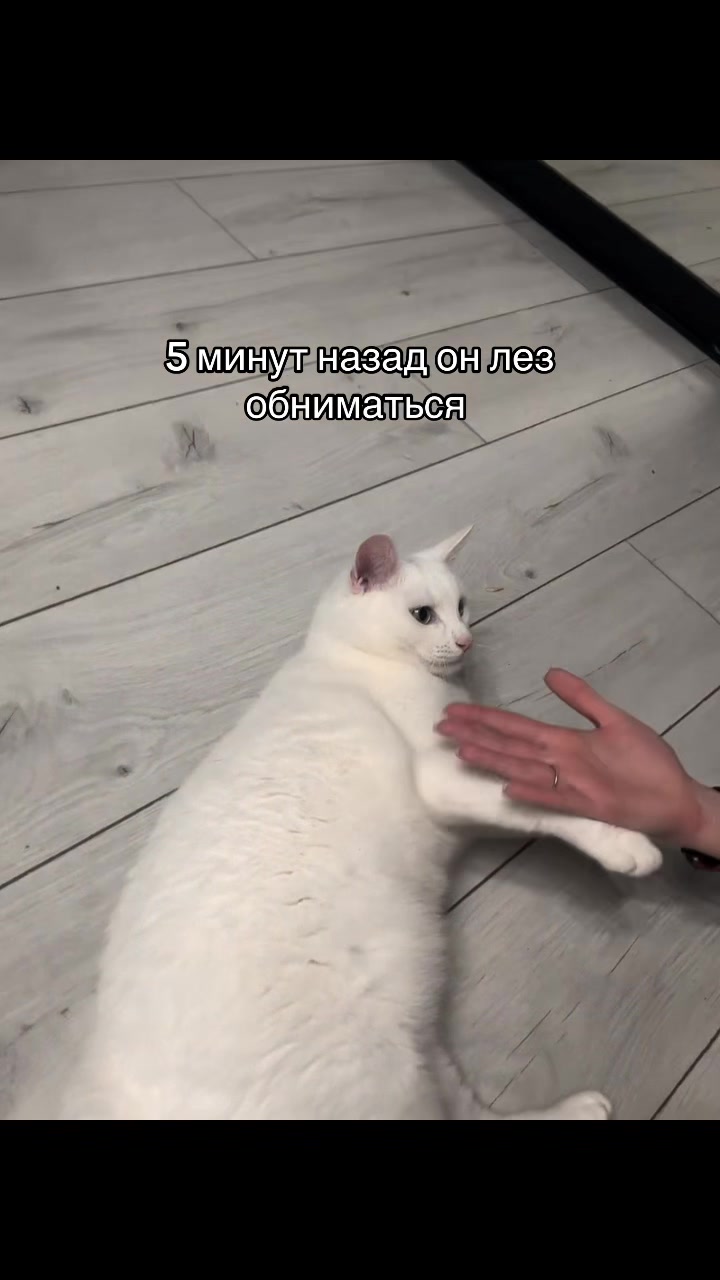 @Дашута