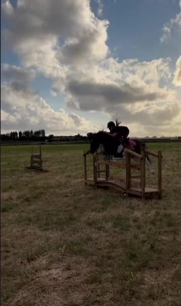 @AAPS_ponys