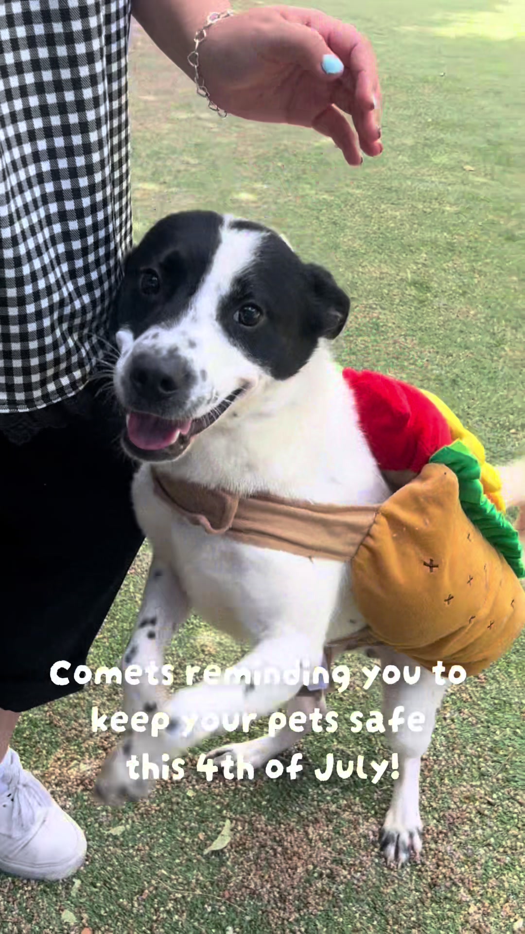 @San Antonio Humane Society