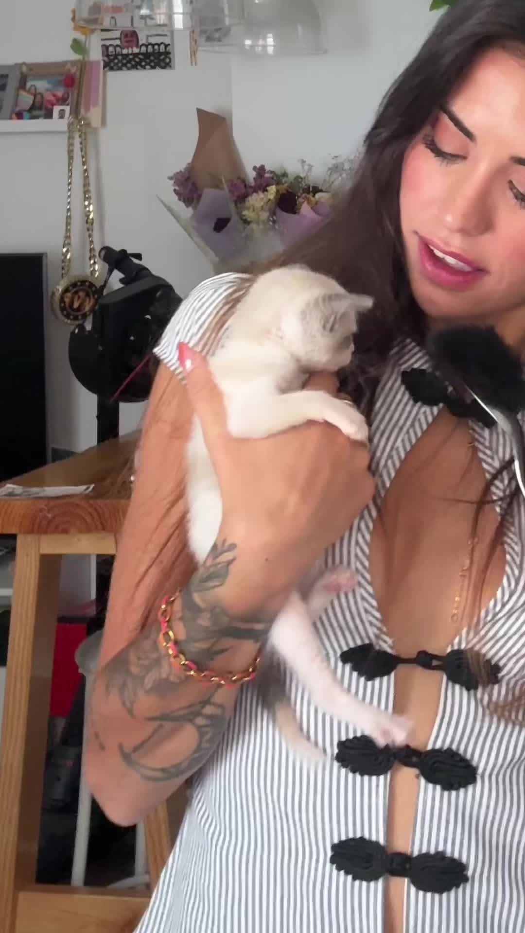 @BELU