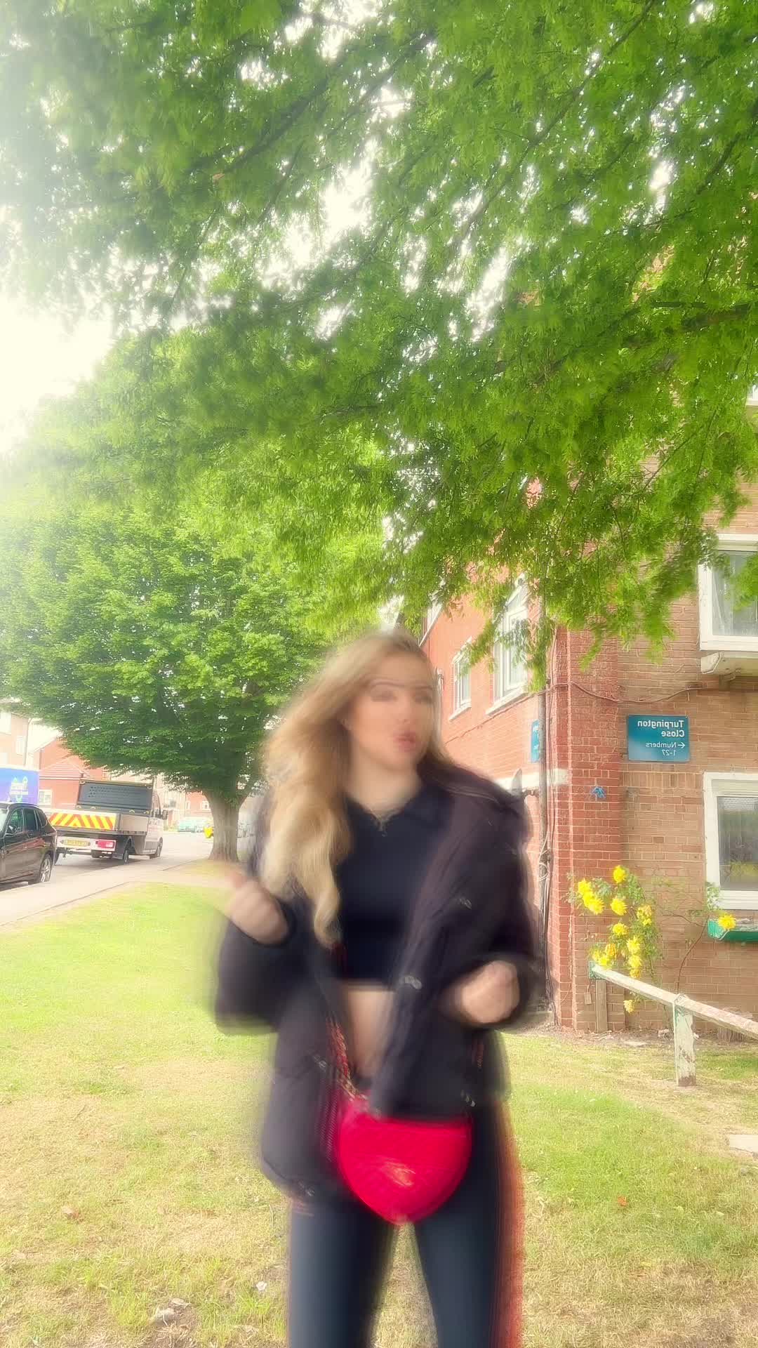 @wonderland2.0