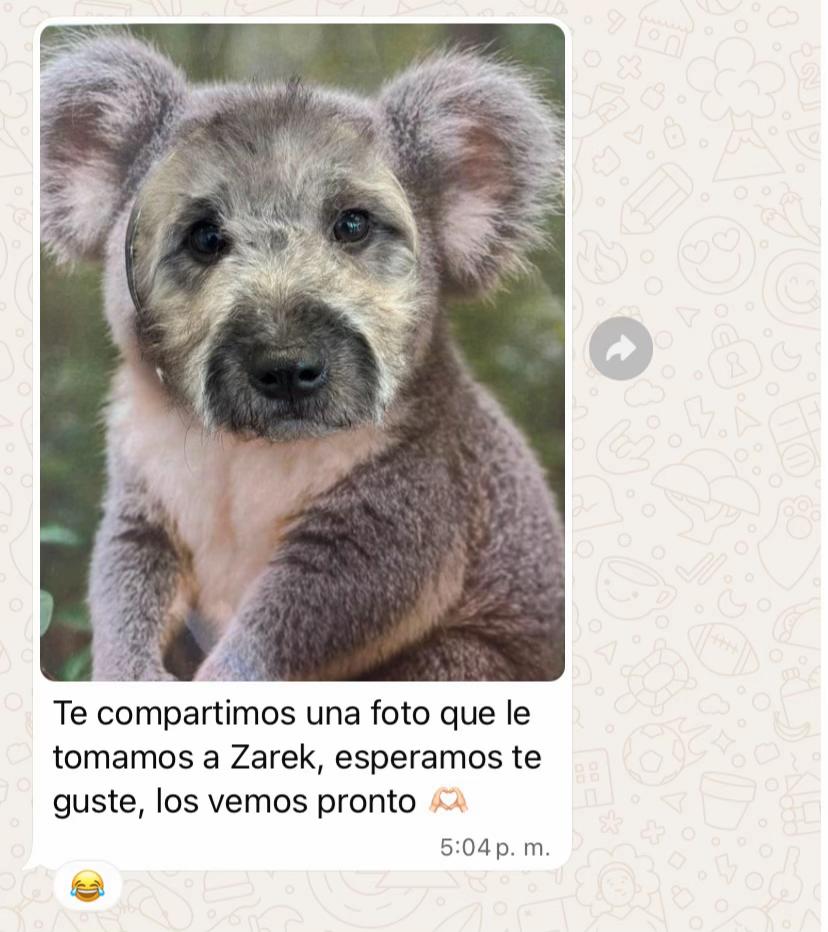 @Paloma Zambrano