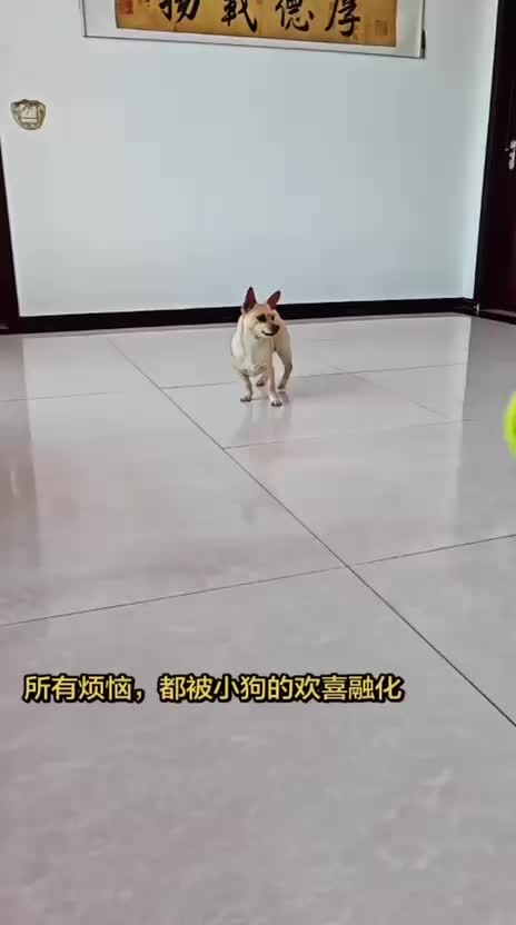 @Funny