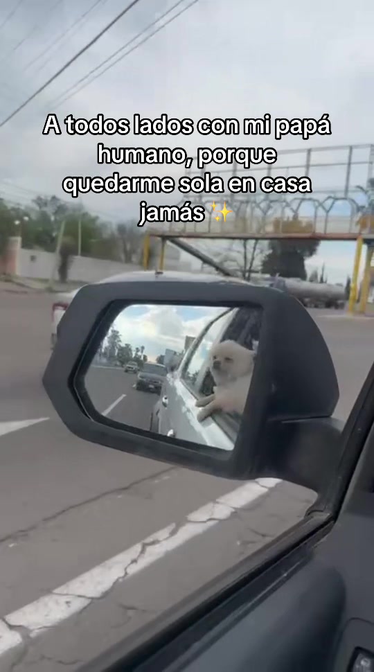 @Nidia Carrillo