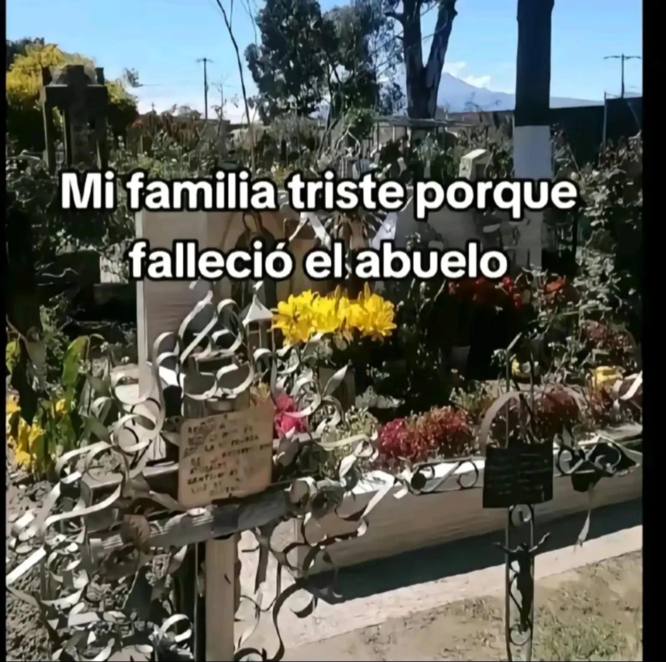 @Mario verde 🫠
