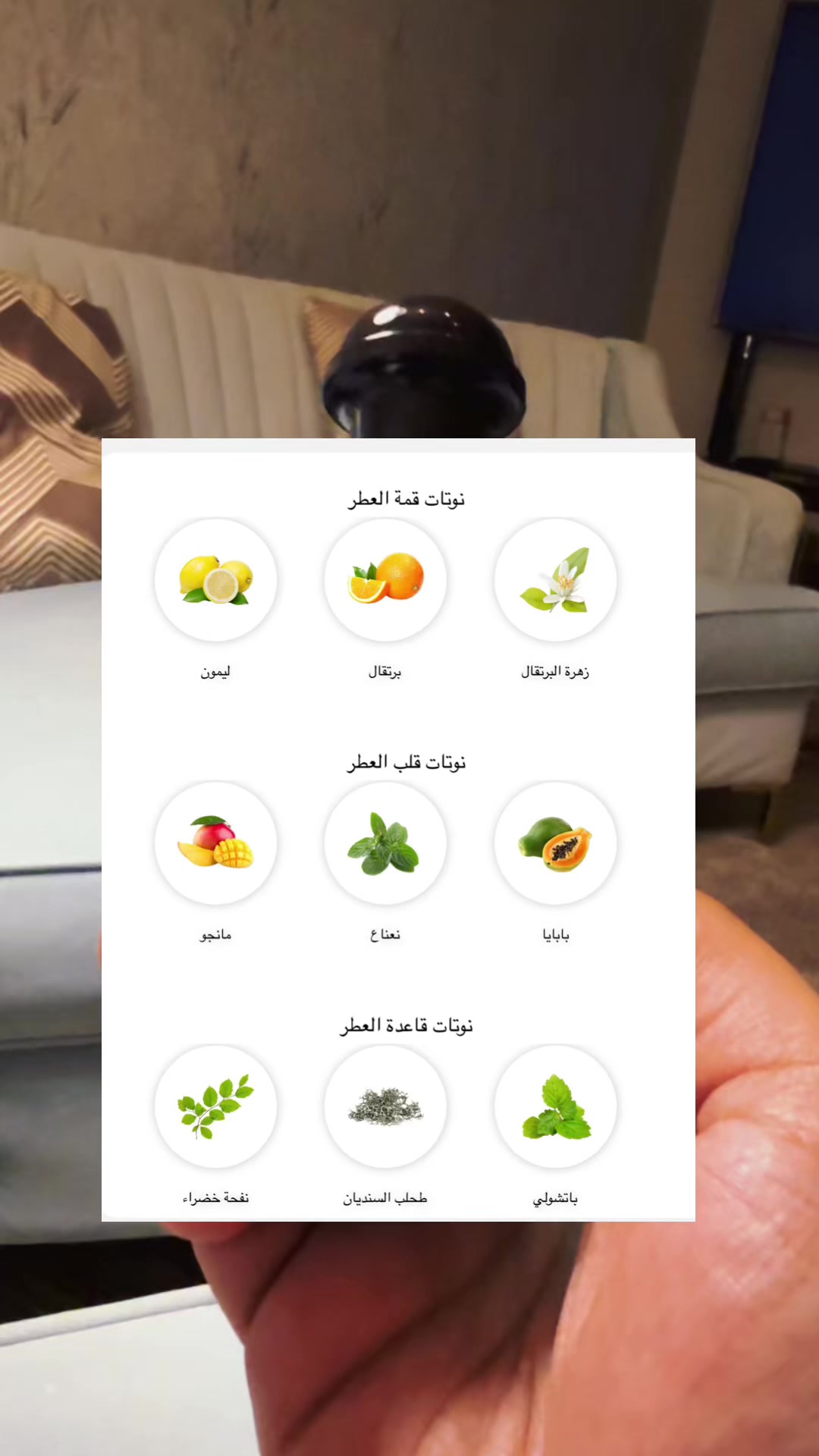 @مشعل العتيبي | مدونه عطرية