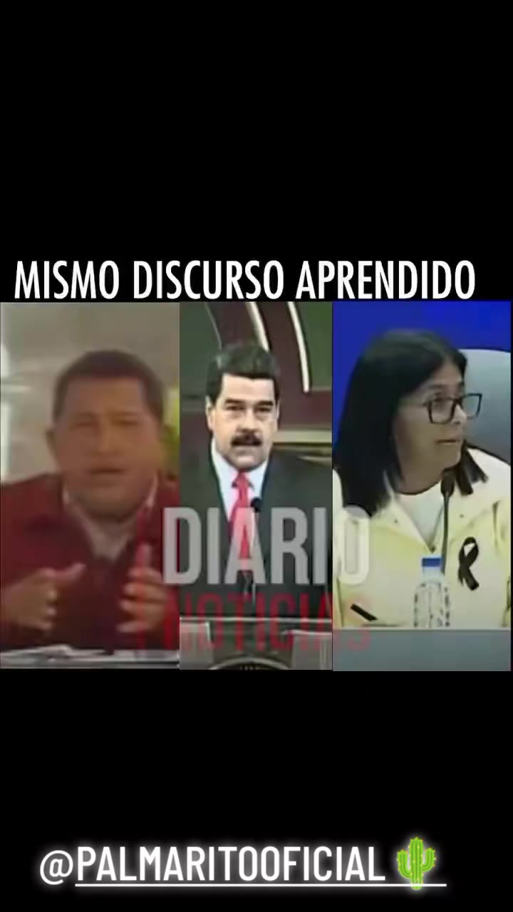 @PALMARITOOFICIAL 🌵