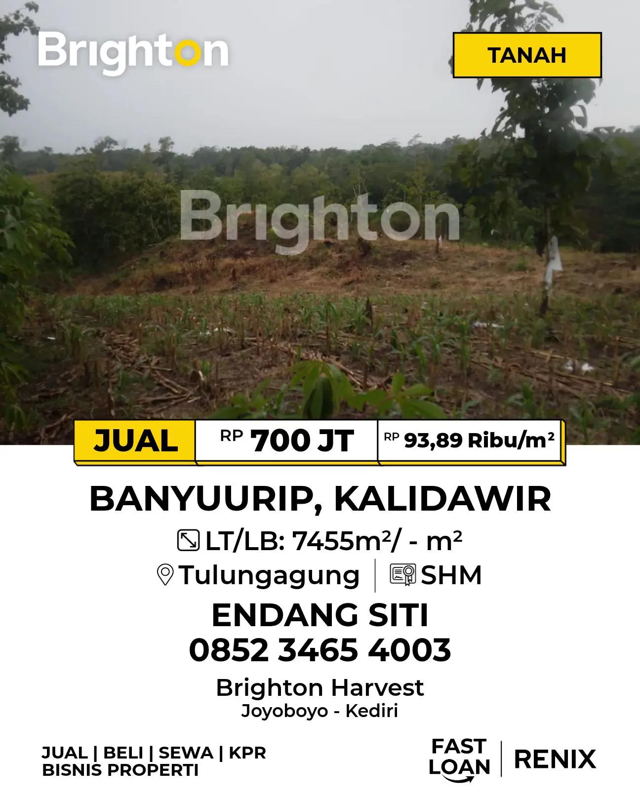 @Endang Siti Brighton Property