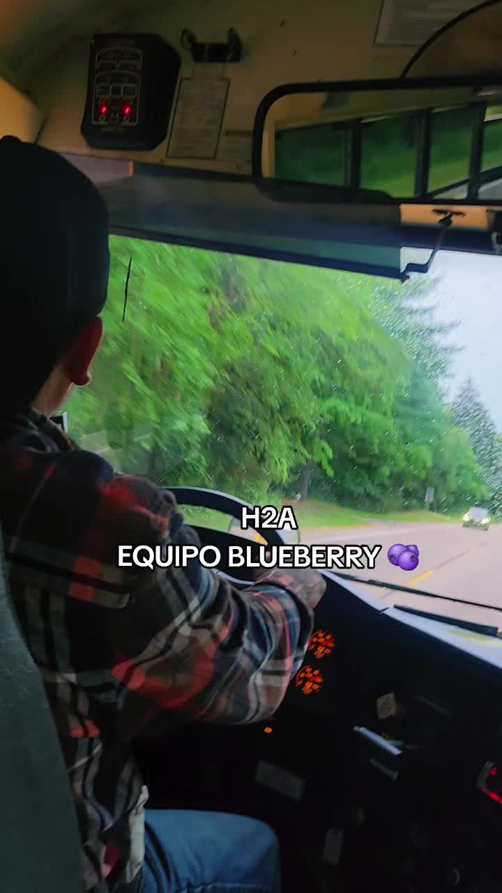 @mini mi