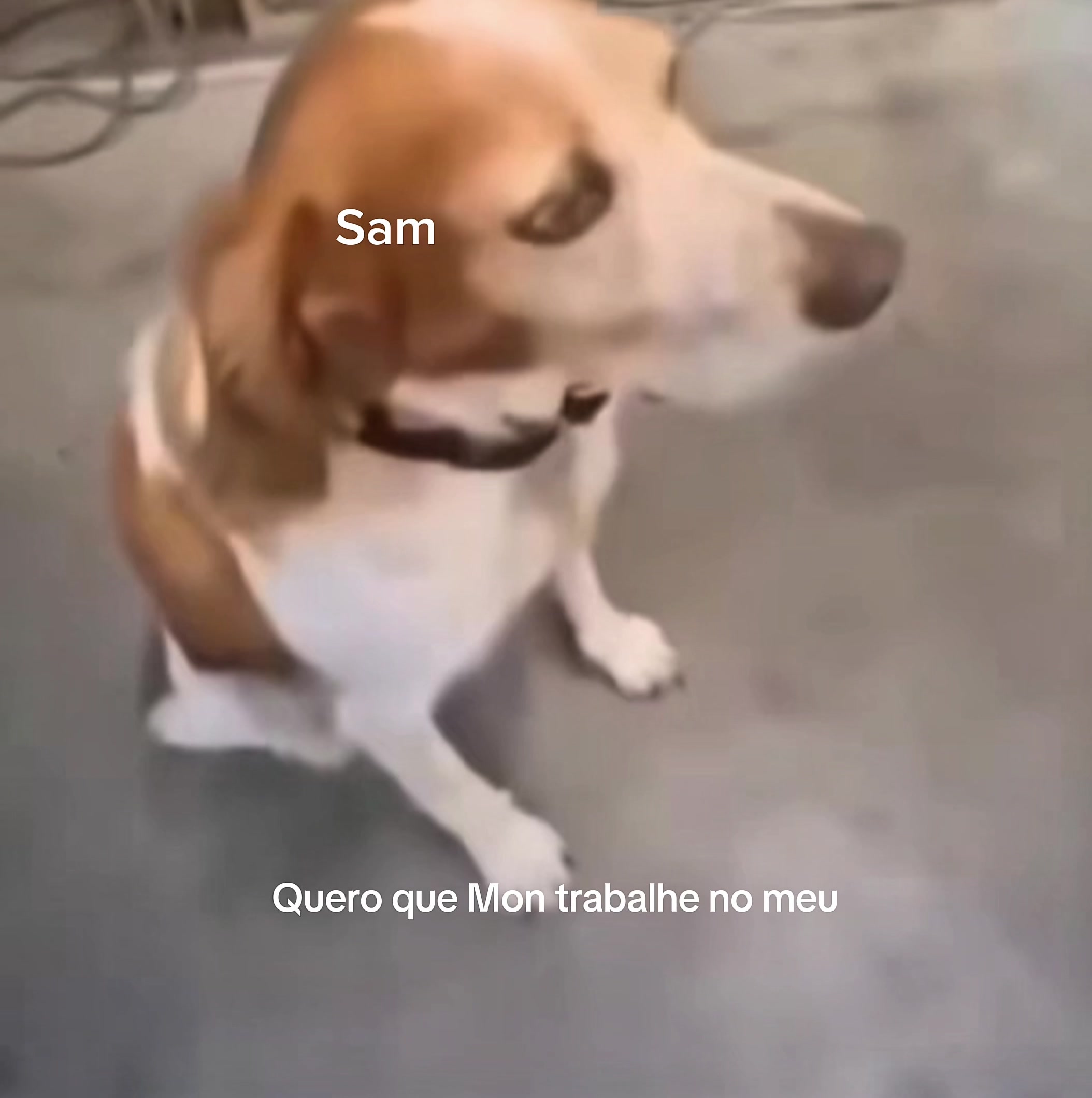 @Elasptao