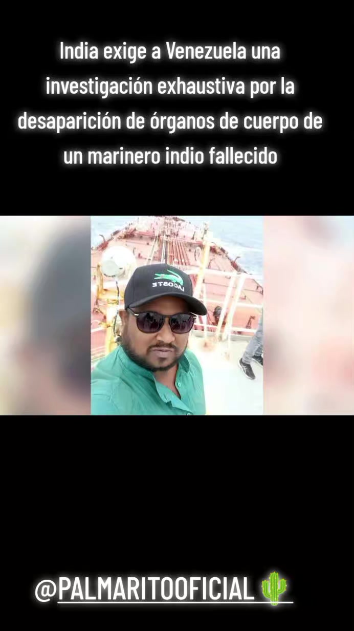 @PALMARITOOFICIAL 🌵