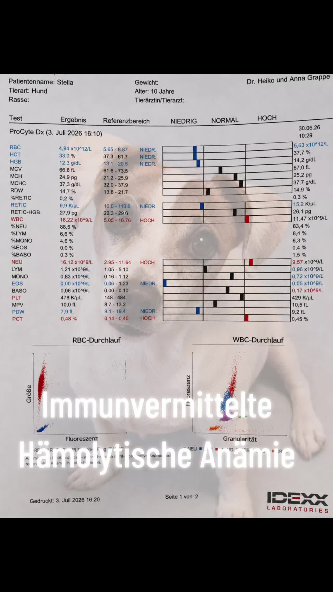 @SashaFrankfurtWiesbadenFulda