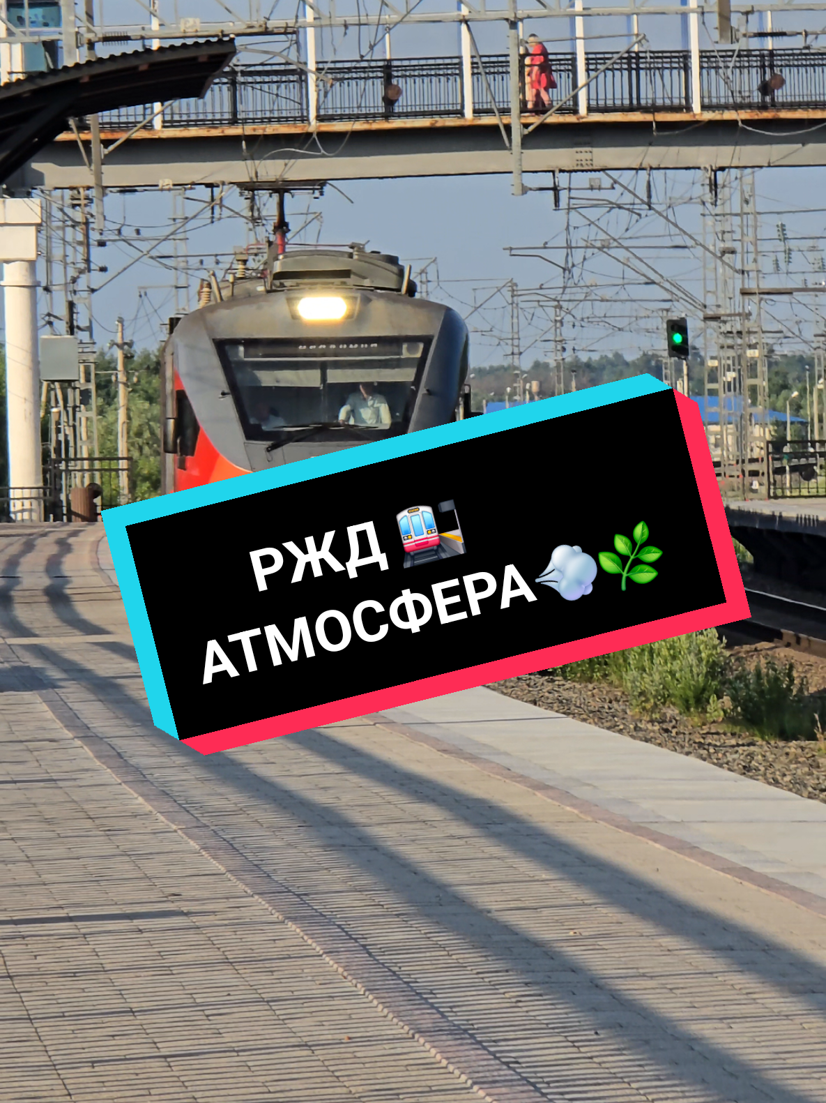 @Дмитрий Шейкин