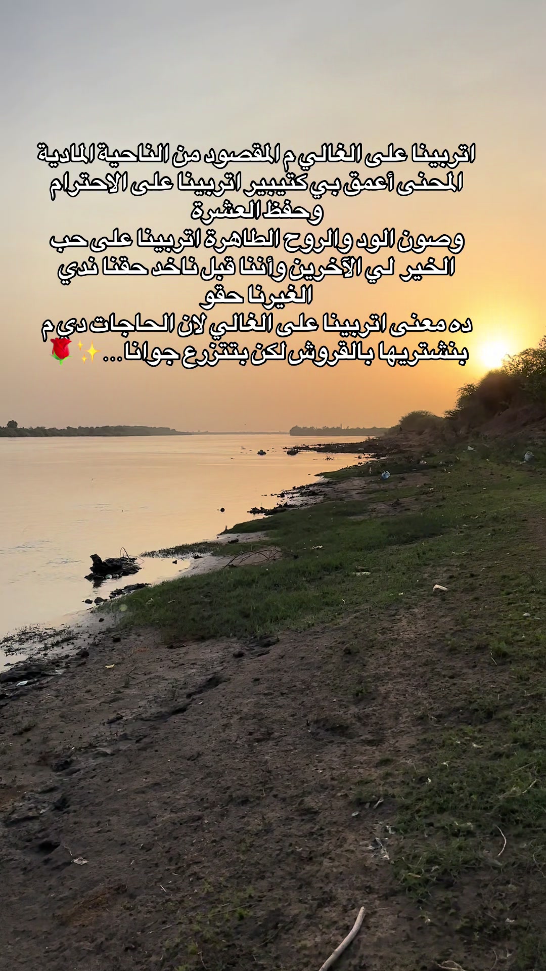 @عبدالغفار أبوبكر