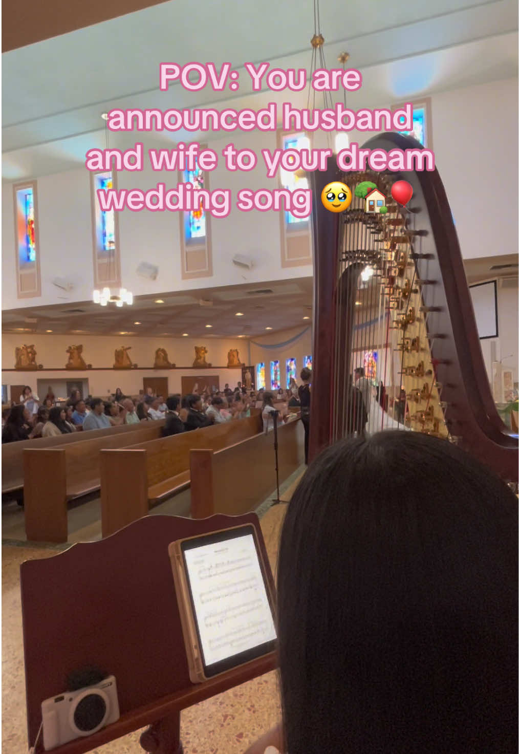 @betaniarodriguezharp