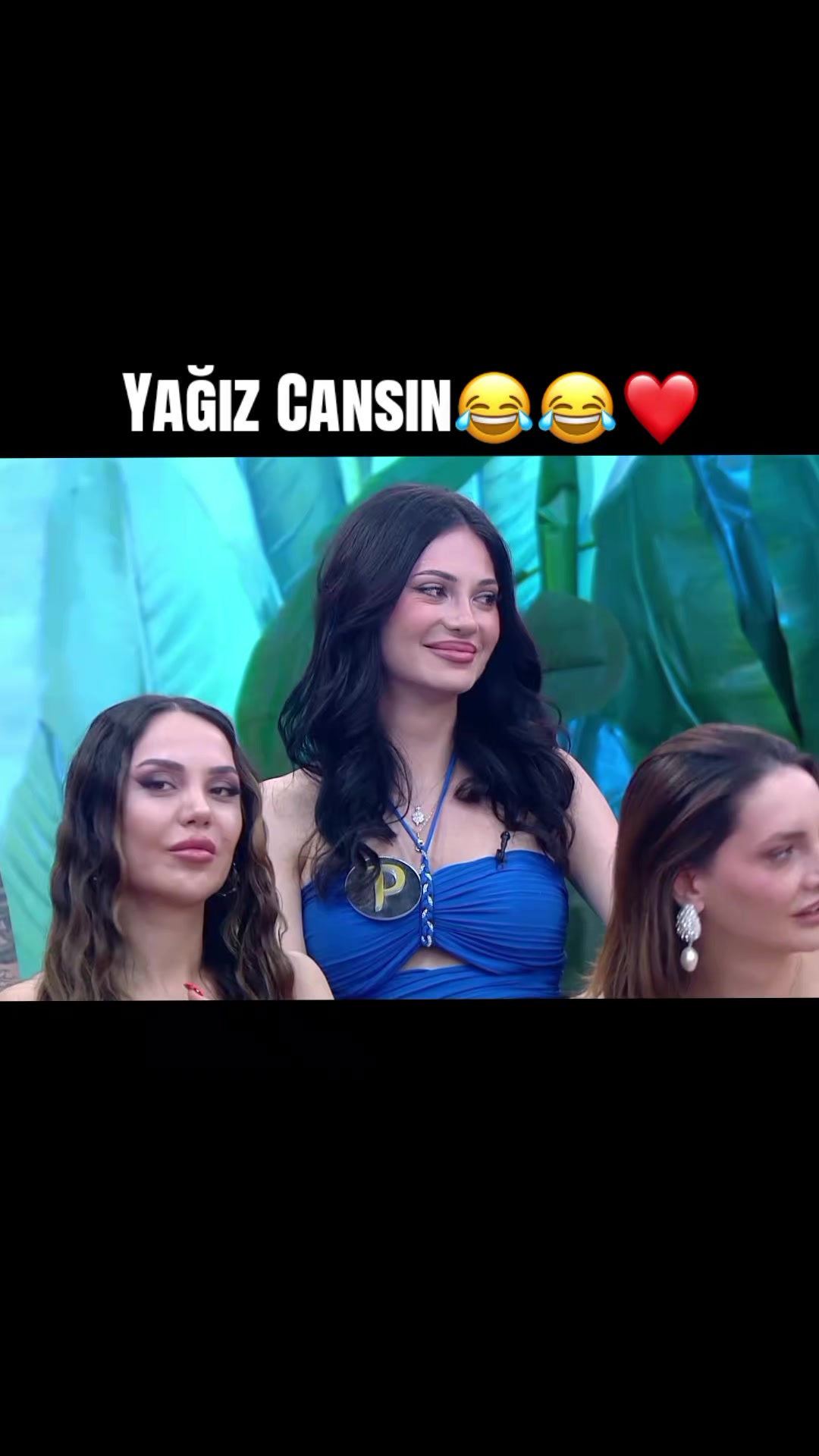 @kismetus.kaos