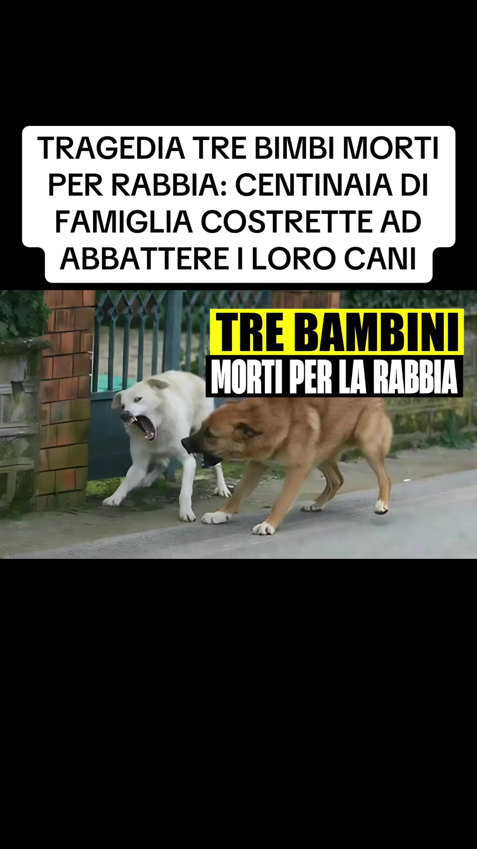 @flashtv_notizie