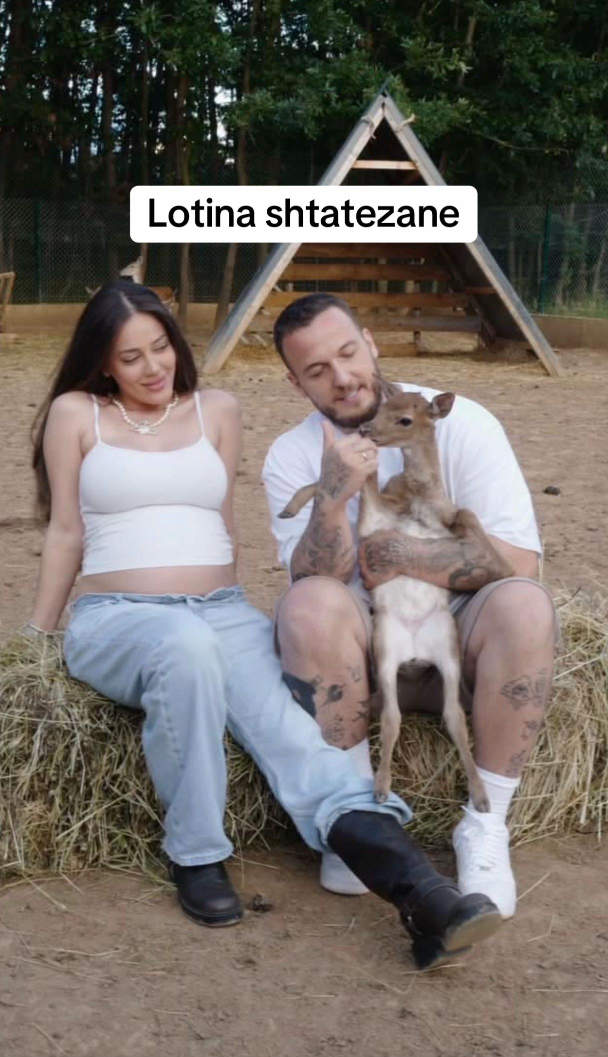 @Videoshqip