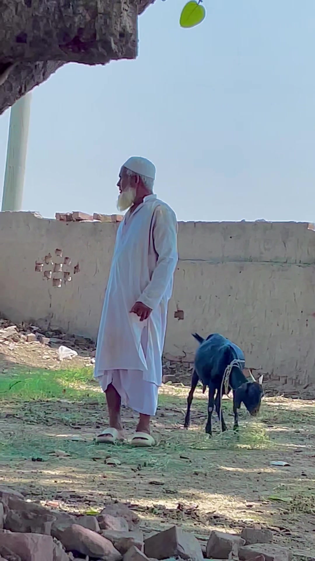 @دیسی _منڈا_😎