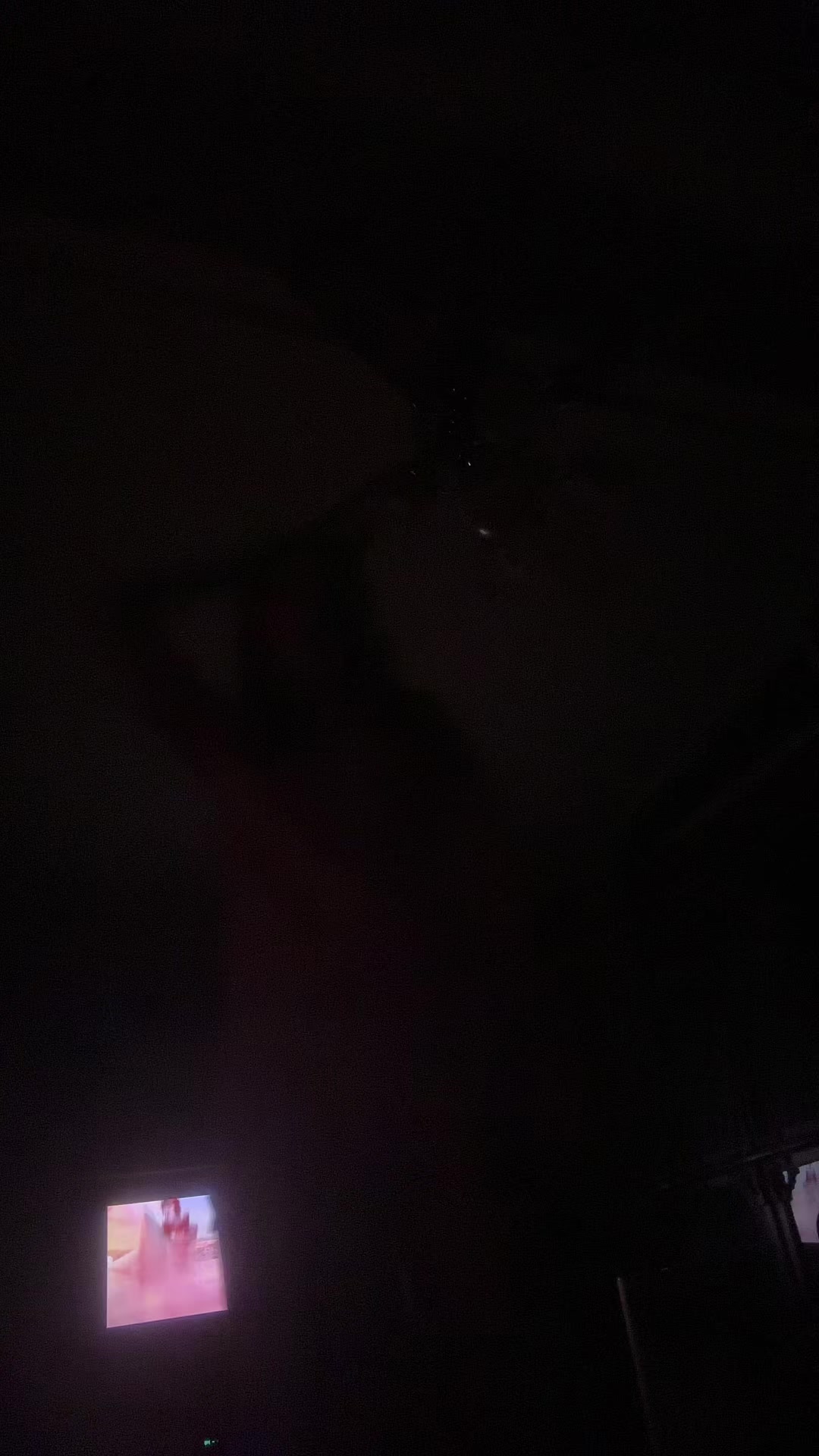 @pixiedust.2304