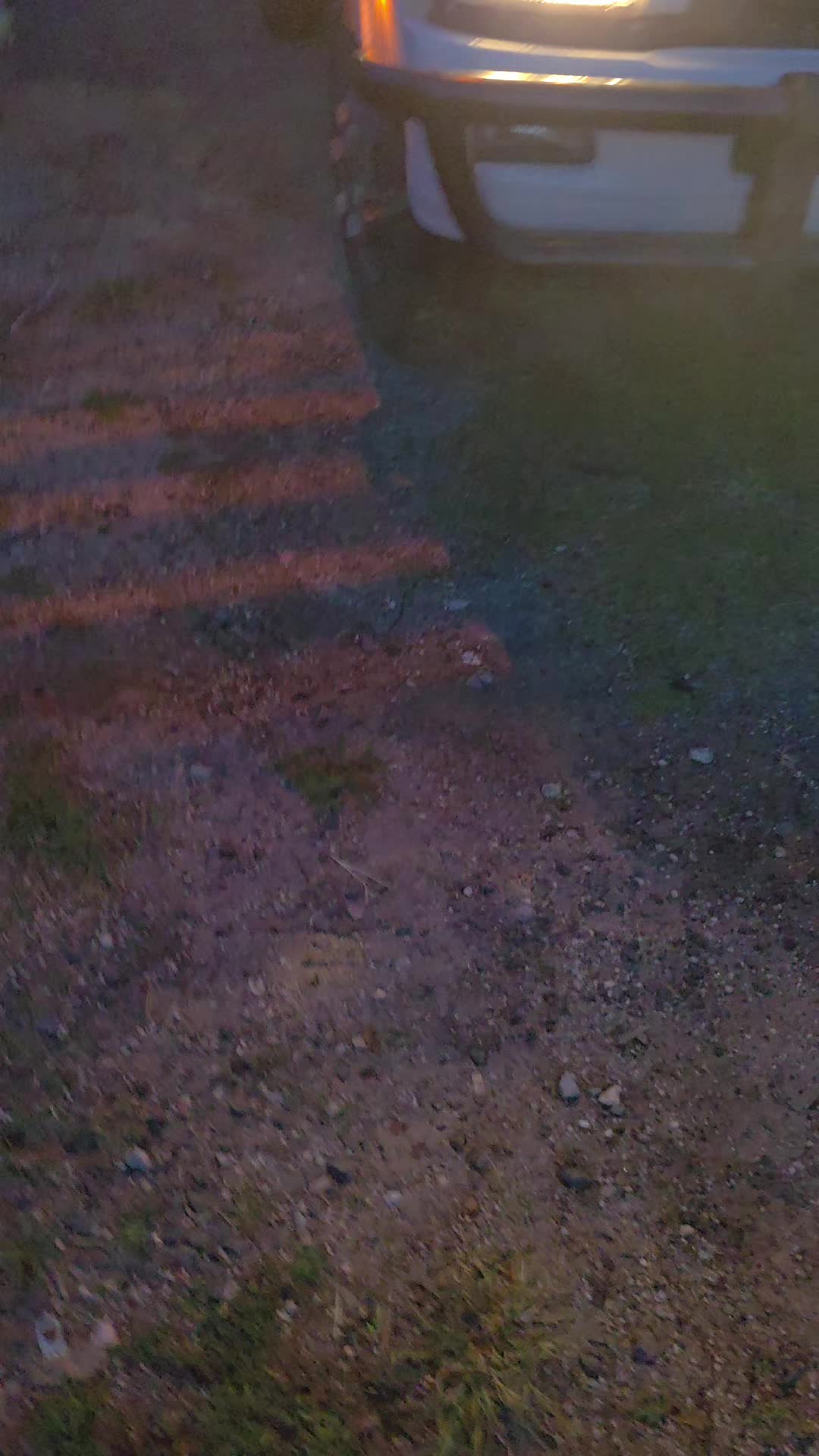 @trokas gt