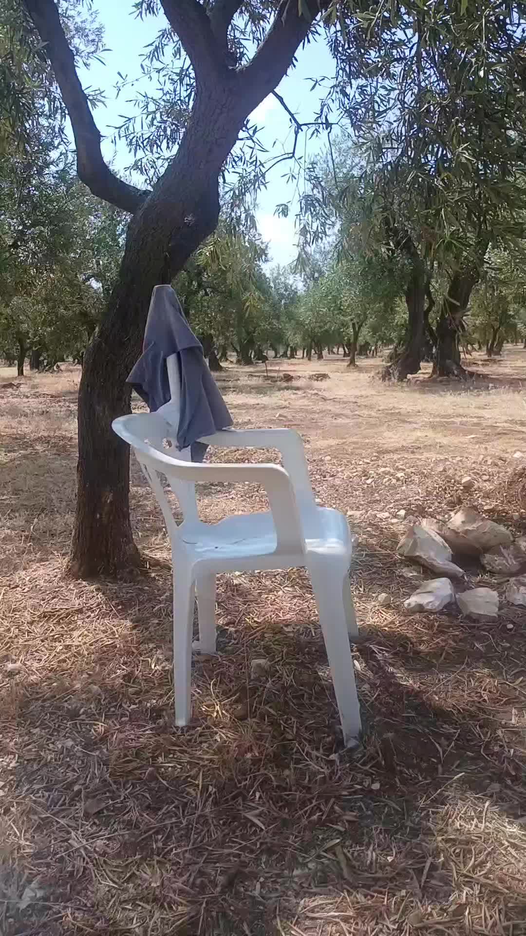 @luigifasciano780