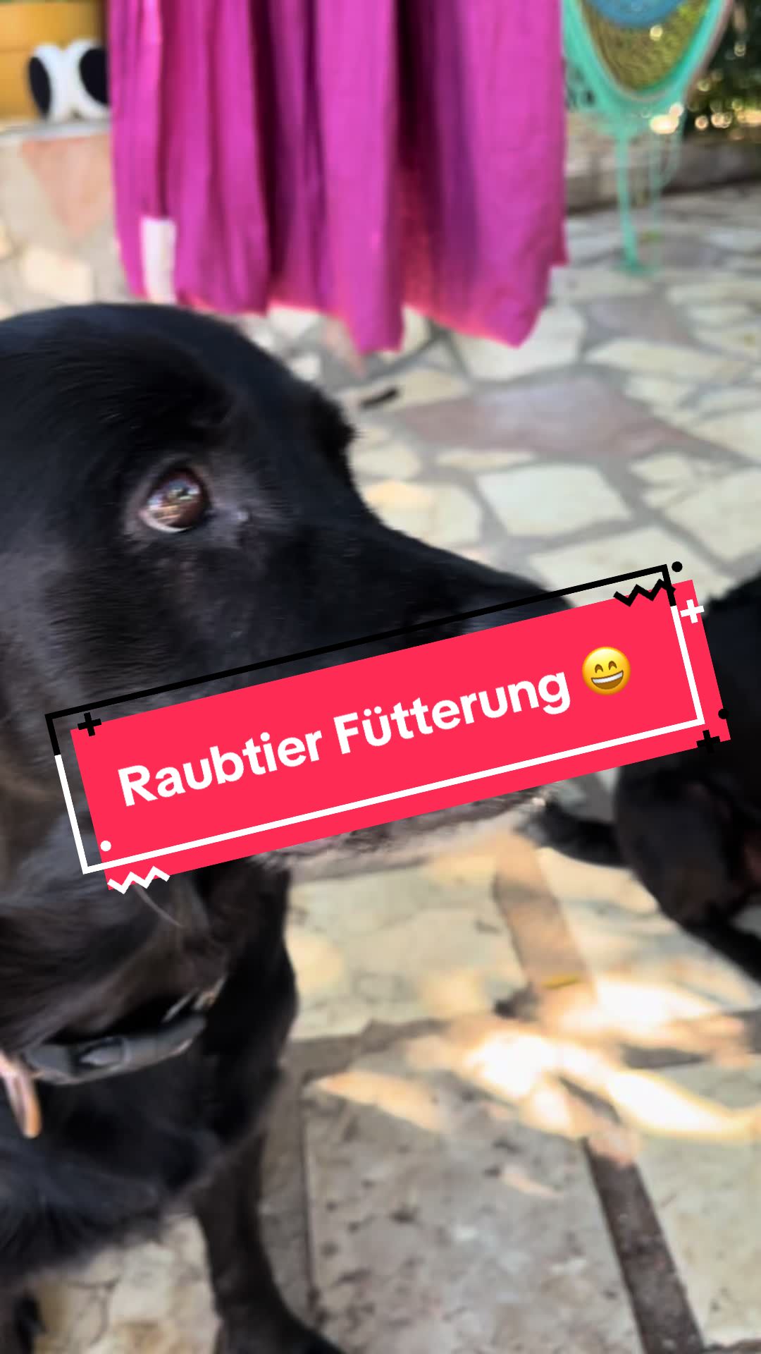 @FincaKunterbunt