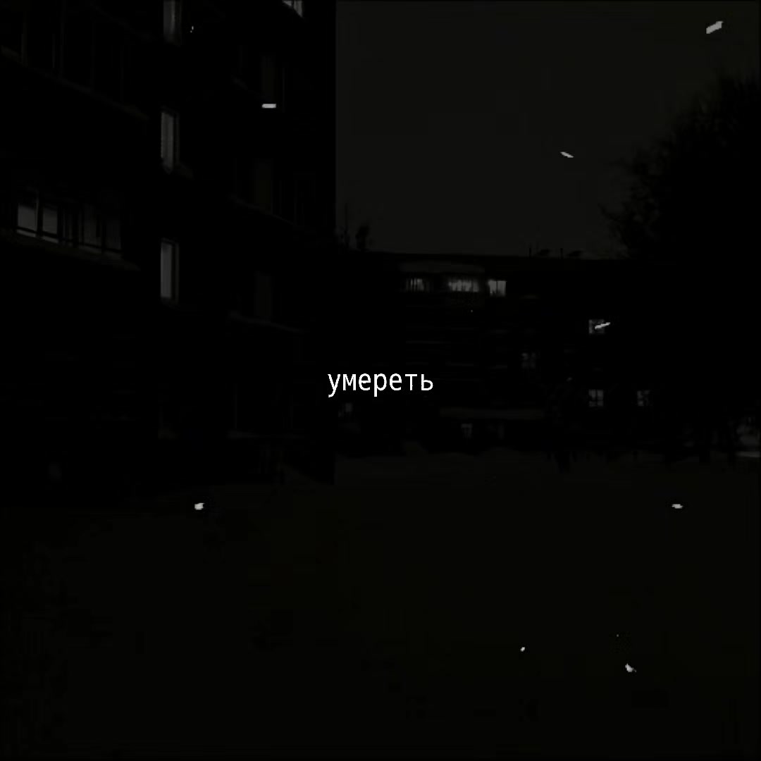 @𝓛𝓪 𝓥𝓲𝓭𝓪 𝓜𝓾𝓼𝓲𝓬