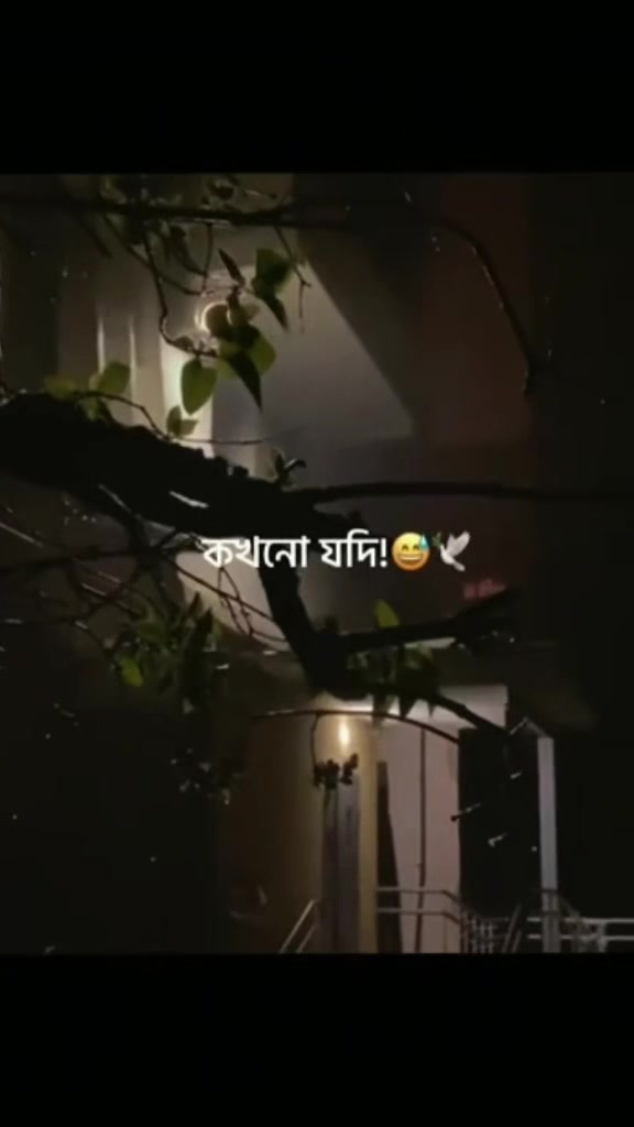 @Tanveer Evan.