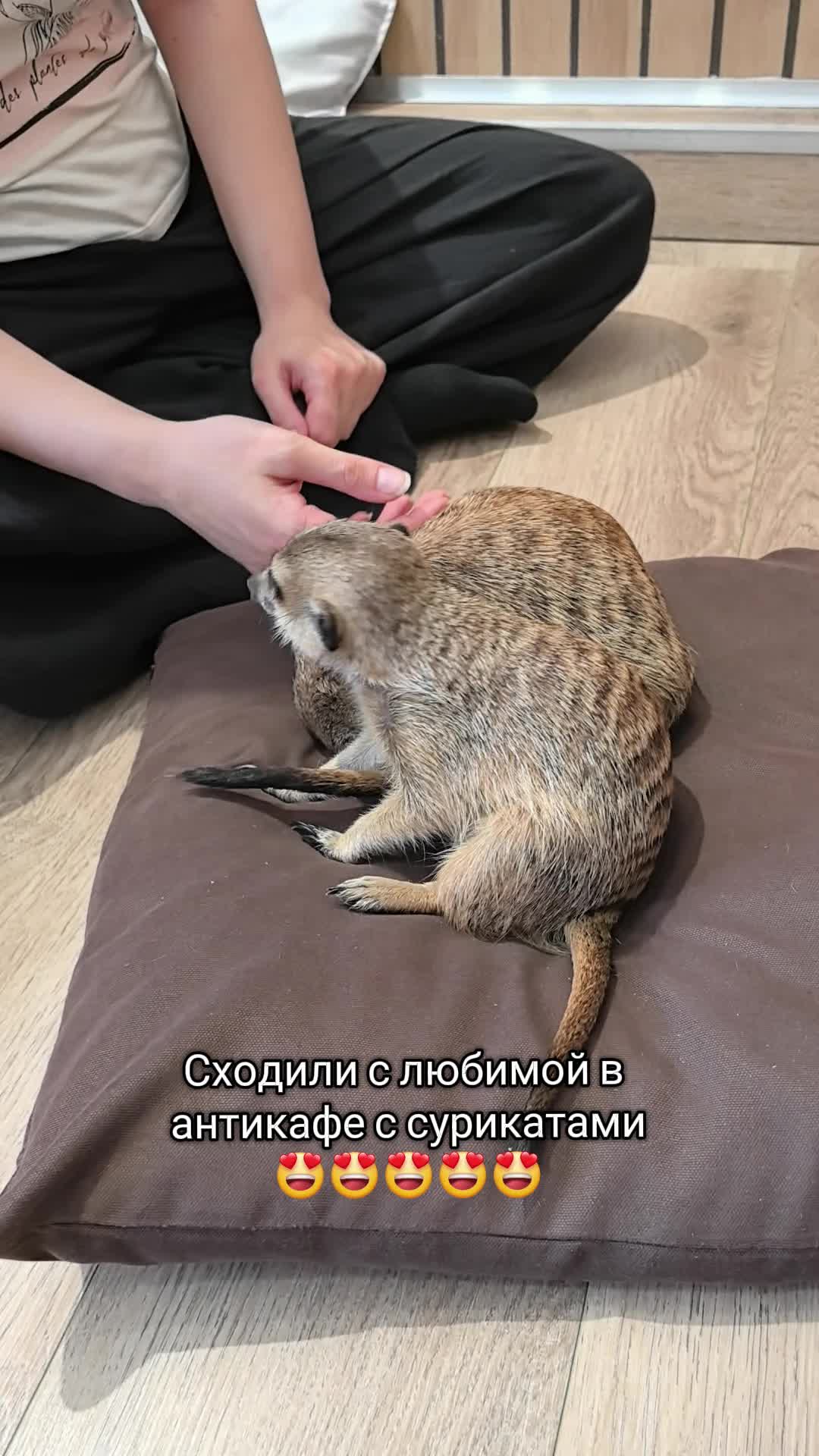 @тгк уТомзова История Общество